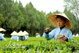 雷电竞备用网站截图2